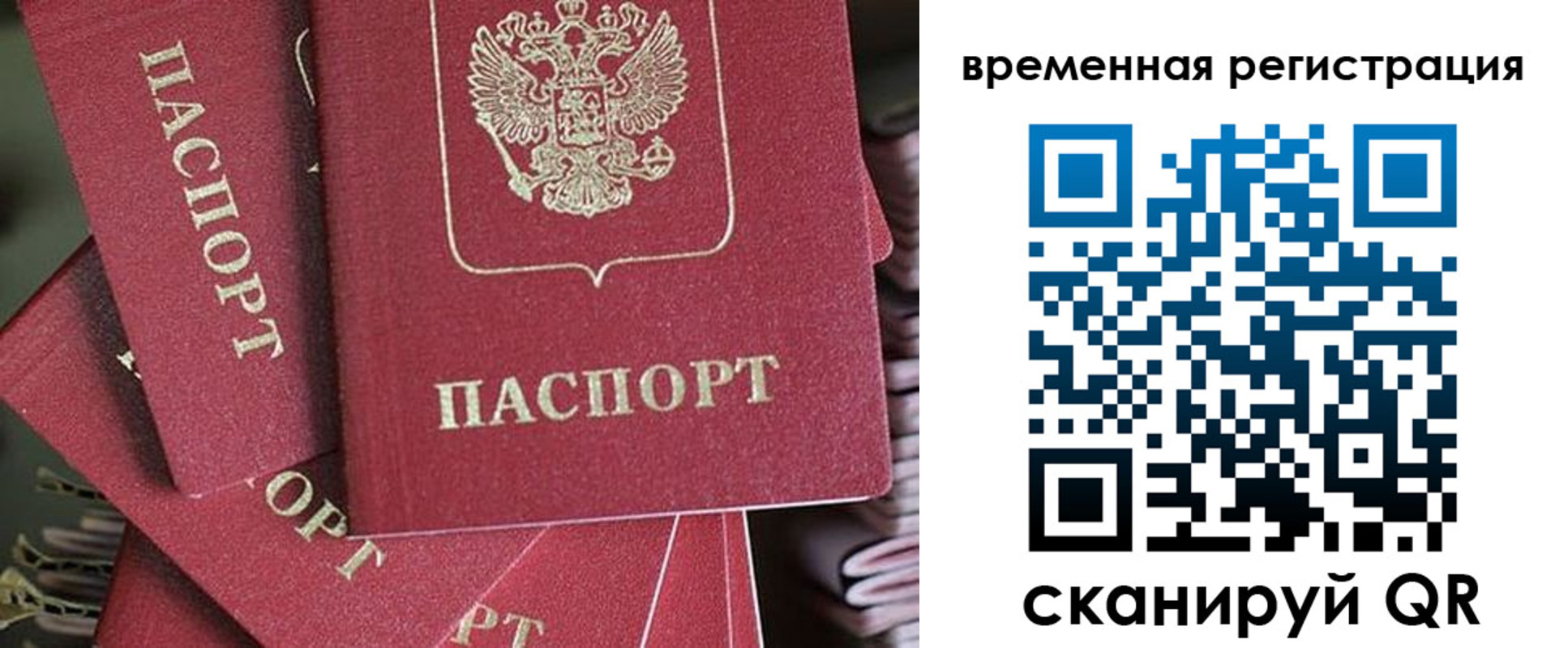 прописка в квартире в Ермолино